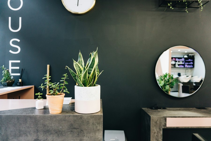 Detalle del salón con plantas